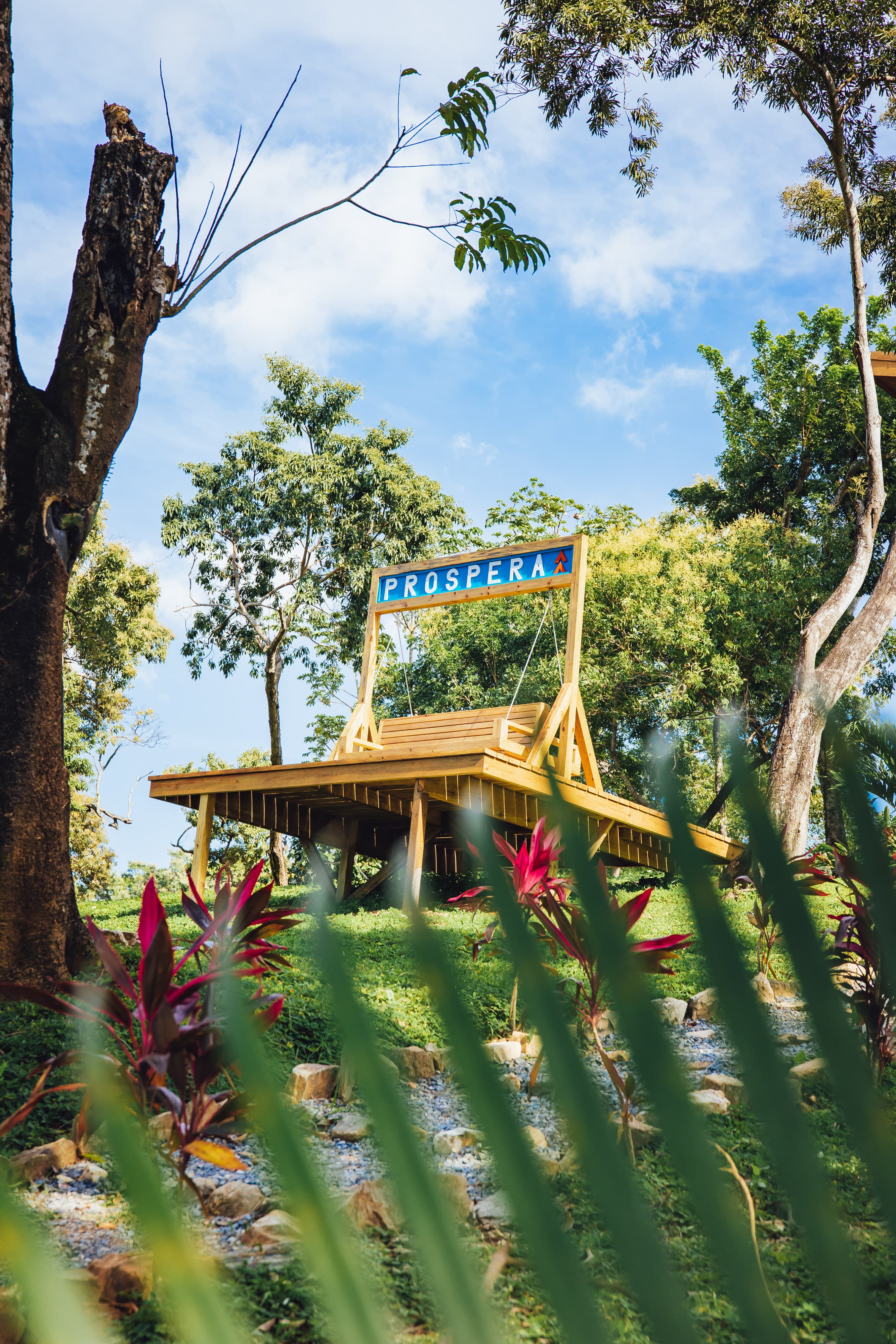 A wooden platform with a sign reading PROSPERA situated among lush greenery and trees. The platform is elevated and surrounded by vibrant plants and foliage, creating a serene and inviting outdoor space.